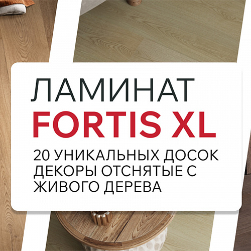 Fortis