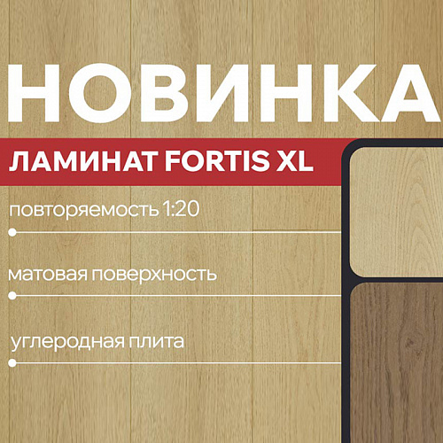 Fortis XL